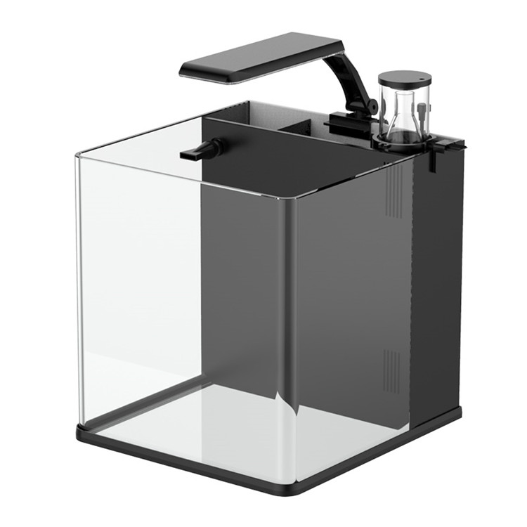 Aquarium Marine Clearwater - Akuarium Ikan Laut Mini Kaca Bening