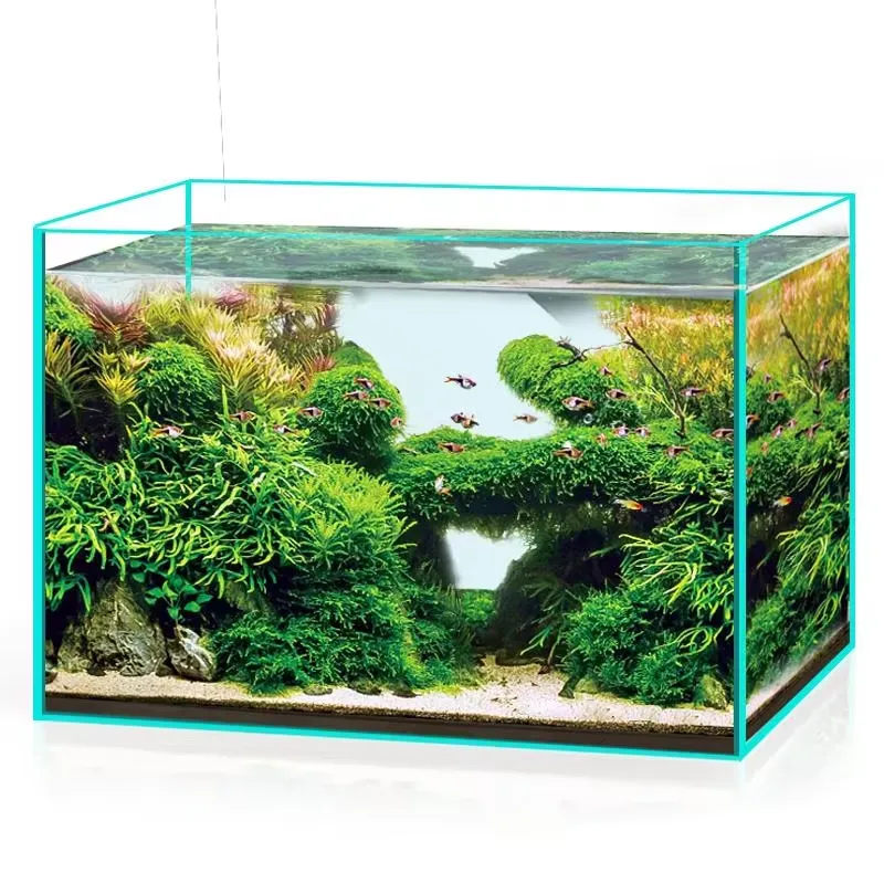 Aquarium Marine Clearwater - Akuarium Kaca Ultra Jernih untuk Ikan,