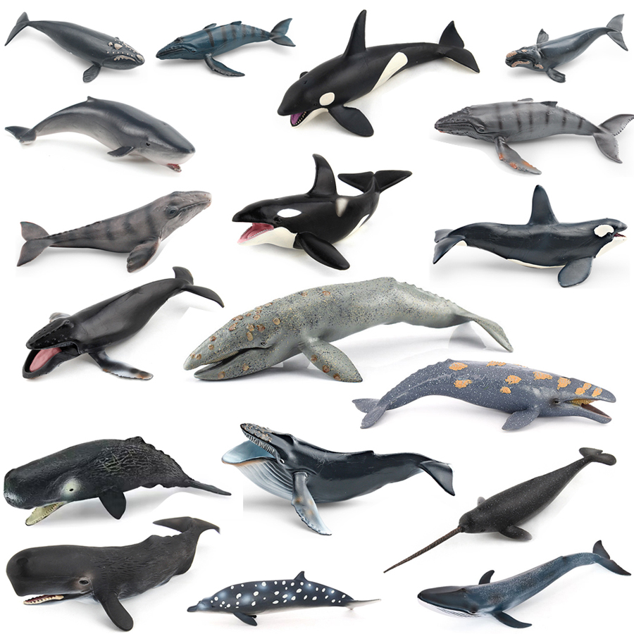 Marine Aquarium Decorations - Model Hewan Laut Realistis: Paus Humpback,