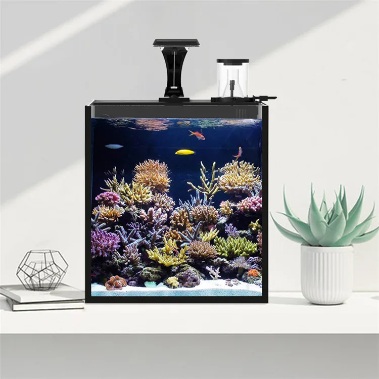 Akuarium Ikan Laut Mini Kaca B - Aquarium Marine Clearwater ulasan dan harga