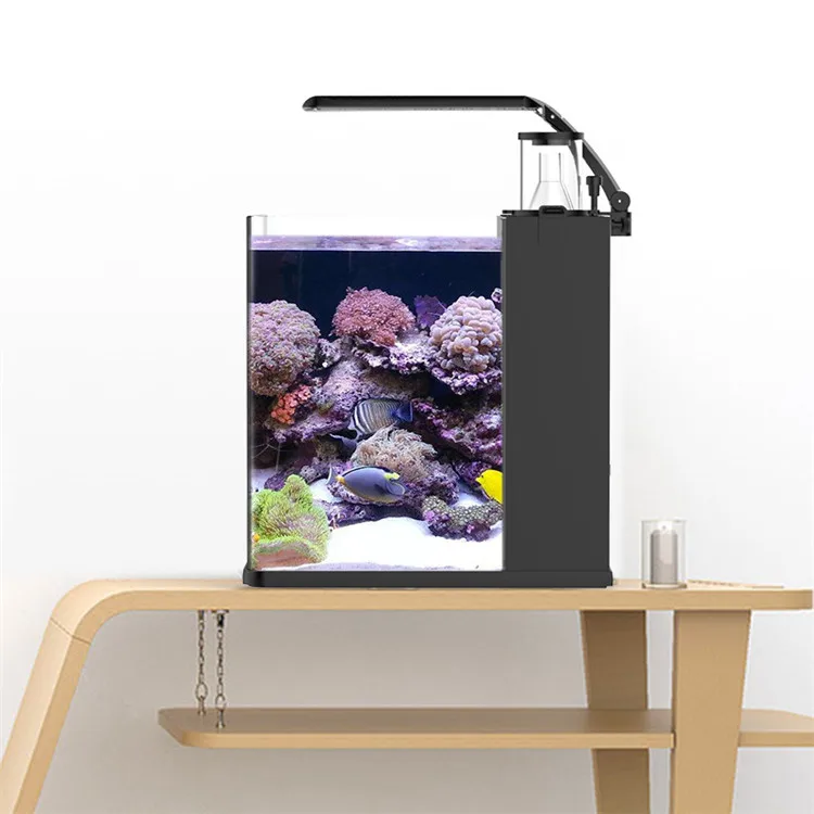 Akuarium Ikan Laut Mini Kaca B - Aquarium Marine Clearwater ulasan dan harga