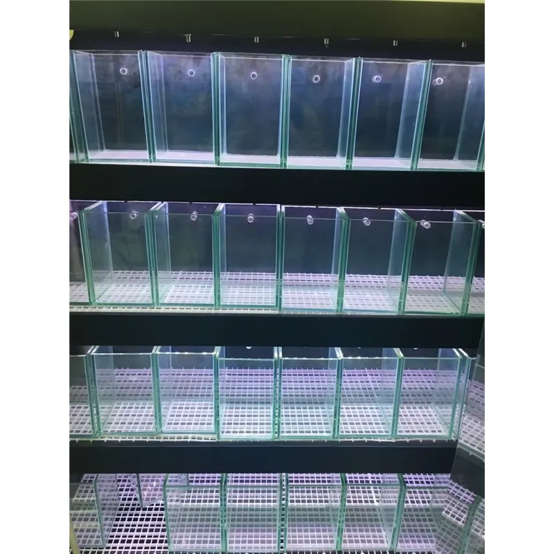 Akuarium Kaca Ultra Jernih unt - Aquarium Marine Clearwater ulasan dan harga