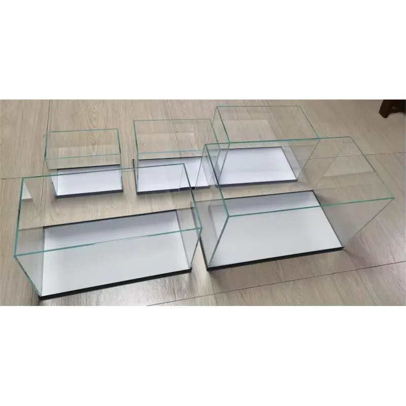 Akuarium Kaca Ultra Jernih unt - Aquarium Marine Clearwater ulasan dan harga