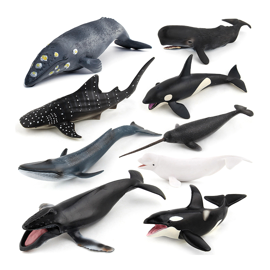 Model Hewan Laut Realistis: Pa - Marine Aquarium Decorations ulasan dan harga