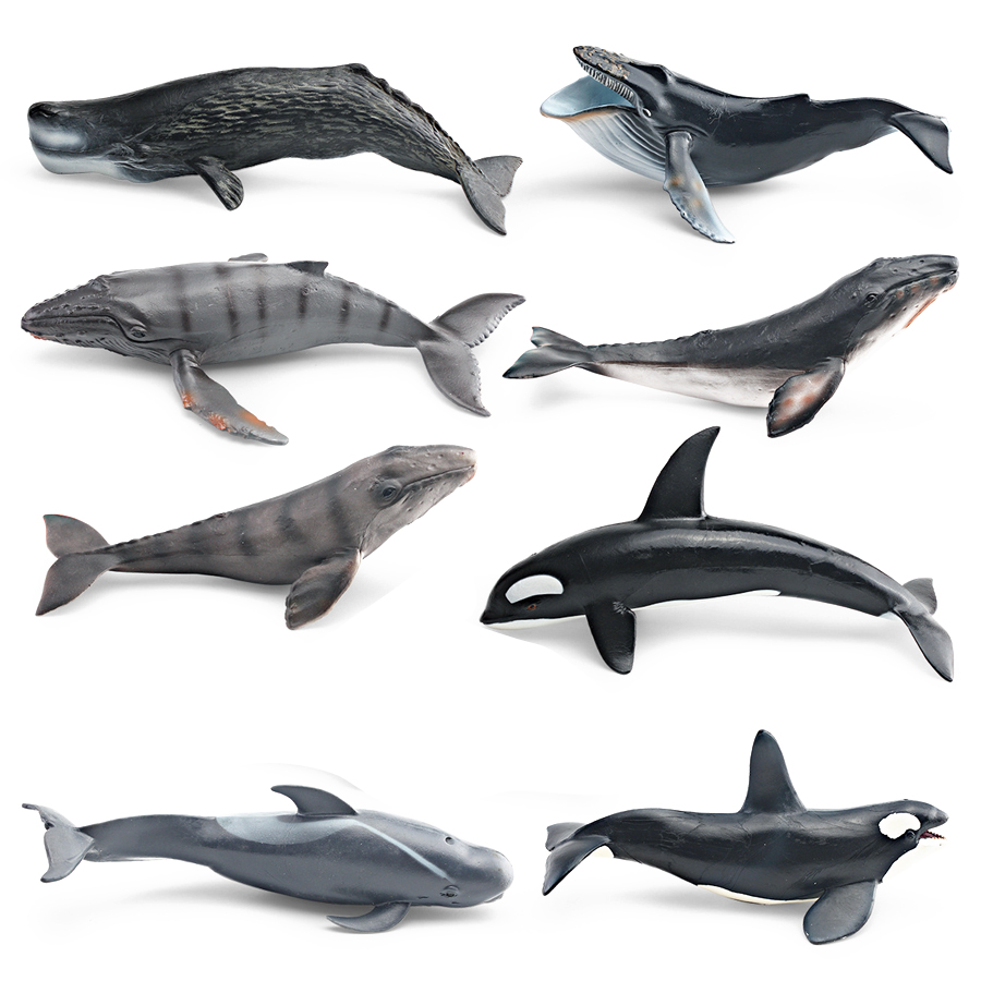 Model Hewan Laut Realistis: Pa - Marine Aquarium Decorations ulasan dan harga