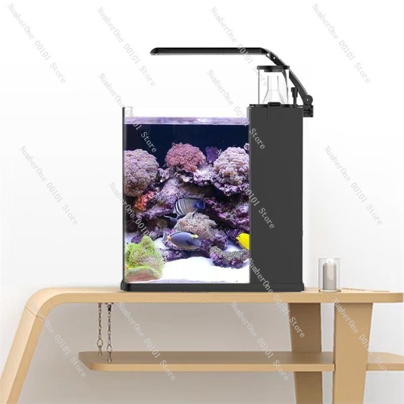 Akuarium Mini Air Asin Kaca Ul - Aquarium Marine Clearwater ulasan dan harga