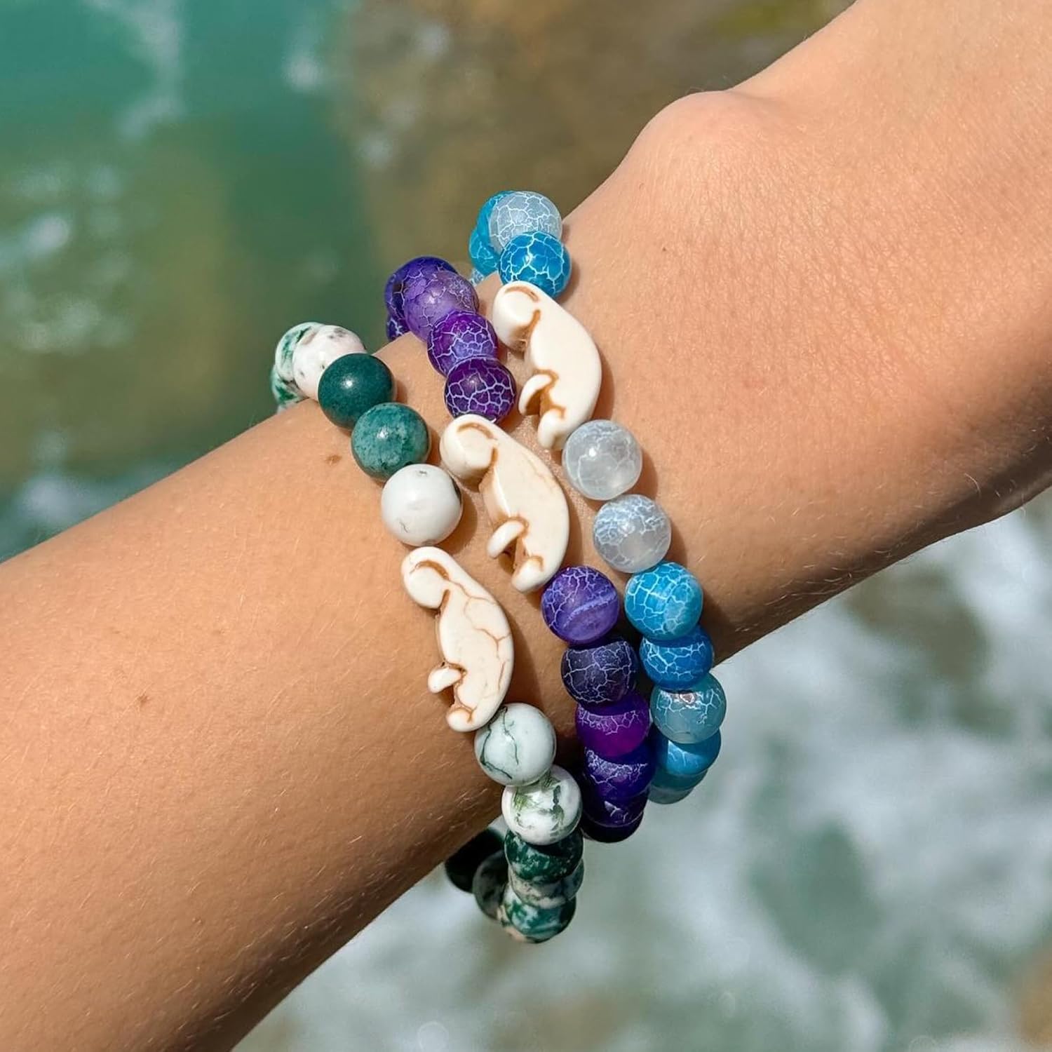 Fahlo Drift Manatee Tracking B - Aquarium Marine Clearwater ulasan dan harga