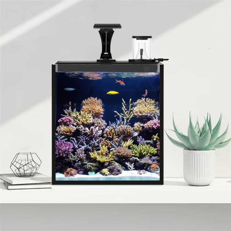 Tangki Ikan Akuarium Laut Air  - Aquarium Marine Clearwater ulasan dan harga