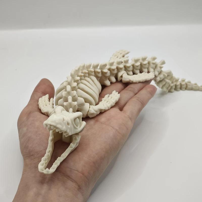 Baru【Model Kerangka Dinosaurus - Marine Aquarium Home ulasan dan harga