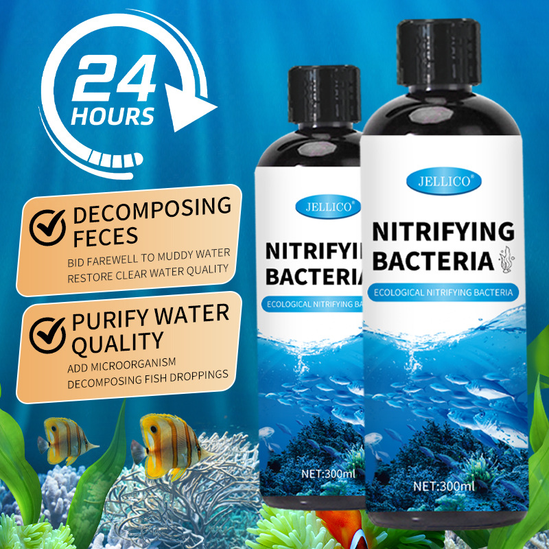 300ml Pemurni Air Akuarium Bak - Aquarium Marine Clearwater ulasan dan harga