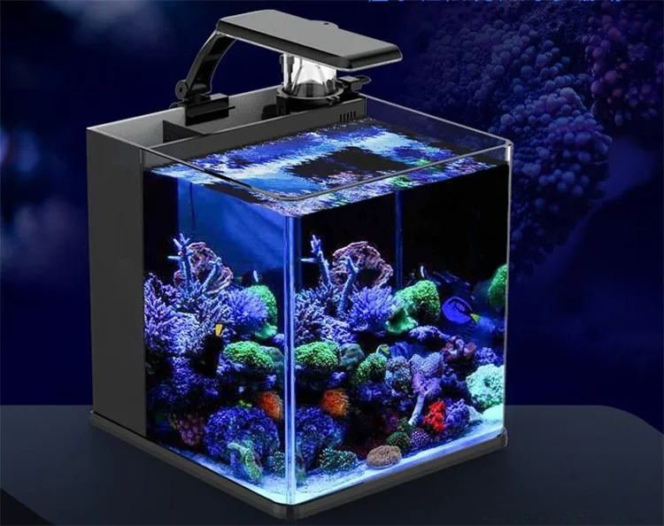 Akuarium Mini Air Asin Kaca Ul - Aquarium Marine Clearwater ulasan dan harga