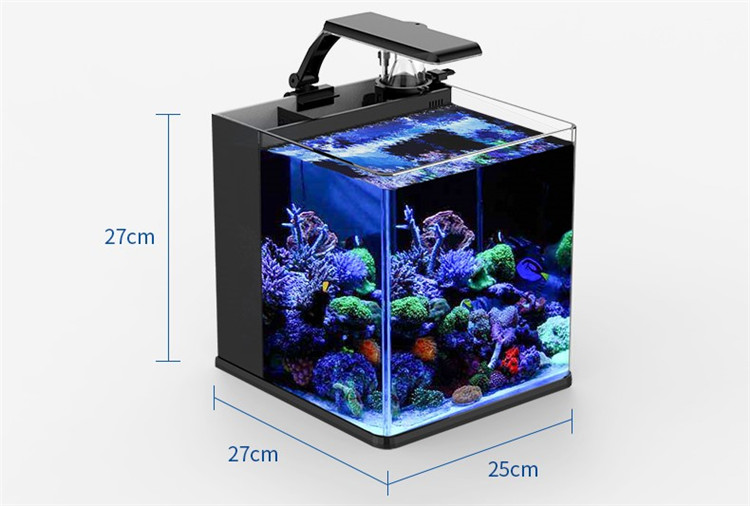 Akuarium Mini Air Asin Kaca Ul - Aquarium Marine Clearwater ulasan dan harga